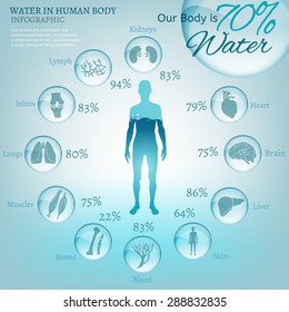 Water is the driving force of all nature. The illustration of bio infographics with human body organs icons in transparent style. Ecology and biochemistry concept. Drink more water. Vector image.