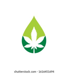 Water Drop And Cannabis Leaf Logo Design Template 001