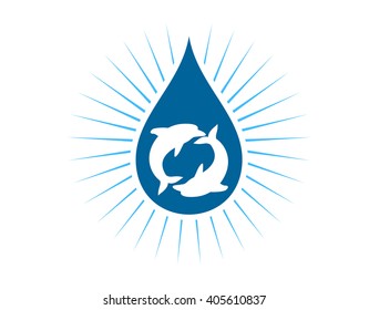 water drop dolphin fish nautical marine life image animal