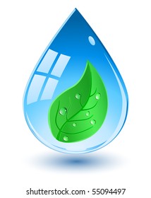 water drop with green leaf