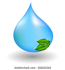 water drop with green leaves. Vector illustration