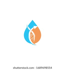 Wassertropfen und Logo der menschlichen DNA-Moleküle. Logo-Vorlage für abstrakte menschliche DNA-Molekülstrukturen.