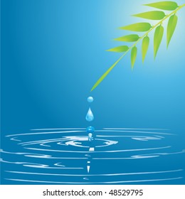 water drop and leaf
