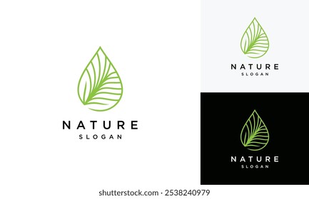 water drop leaf logo vector template .water drop logo icon with leaf	
