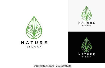 water drop leaf logo vector template .water drop logo icon with leaf	
