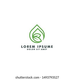 water drop  leaf nature logo design vector