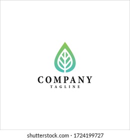 water drop leaf vector logo design.