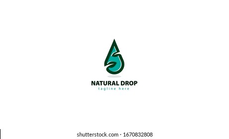 the water drop logo design is combined with the leaf symbol from natural. vector