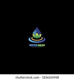 Water Drop Logo Design Concept