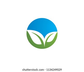 water drop Logo Template vector illustration design