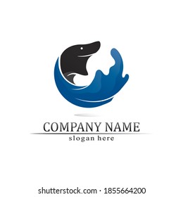 Water drop Logo Template vector illustration design