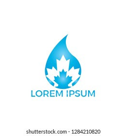 Water drop and maple leaf logo design. built in water drop maple leaf icon design template.
