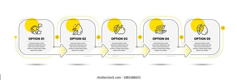 Water drop, Mineral oil and Lightweight line icons set. Timeline process flowchart. Apple sign. Serum oil, Organic tested, Feather nib. Fruit. Nature set. Infographics timeline banner. Vector