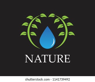 Water drop nature logo vector template 