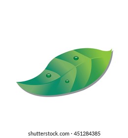 water drop on leaf-vector