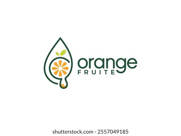 water drop orange fruit line art logo design vector