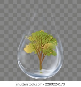 El agua cae con el Árbol en el fondo transparente.Vector 3d Transparente transparente de caída de lluvia de agua con planta de crecimiento,Concepto de diseño de elementos para medio ambiente,Ecología,Día Mundial del Agua 