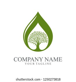 Water Drop Tree Oak Logo Design, Ecology Logo Design. Green Oak Tree isolated on a white background, Vector illustration