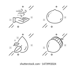Water drop, Wind energy and Macadamia nut line icons set. Acorn sign. Serum oil, Breeze power, Vegetarian food. Oaknut. Nature set. Line water drop outline icon. Vector