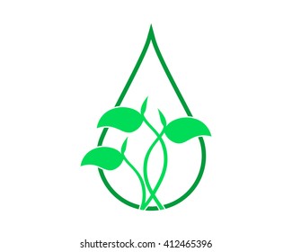 water droplet seed sprout shoot plant herb image vector