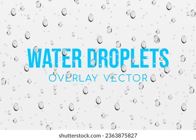 Water droplets condensation drops realistic overlay background vector