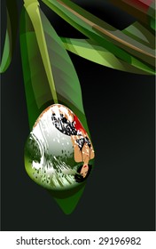 Water Droplets on Leaf