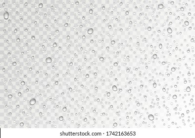 Gotas de agua en un vaso transparente. La lluvia cae sobre la ventana.