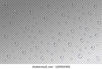 Water droplets. Set of realistic water droplets on the transparent background. Vector illustration