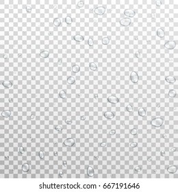 Water drops background. Realistic vector water droplets isolated on transparent background. 