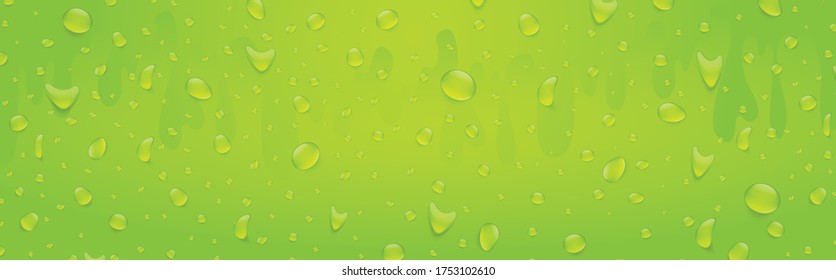 Water drops banner background. Rainfall over colorful glass surface. Green color drink beverage concept. 3d realistic vector illustration.