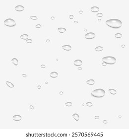 Water Drops Border: Realistic Shower or Rain Droplets Isolated on Transparent Background. Clear Vapor Bubbles and Condensed Texture for Bathroom and Window Glass Designs