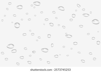 Water Drops Border: Realistic Shower or Rain Droplets Isolated on Transparent Background. Clear Vapor Bubbles and Condensed Texture for Bathroom and Window Glass Designs