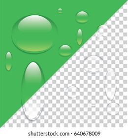 Water drops bubbles dew on transparent background isolated vector element for design