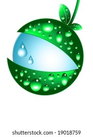 Water drops and green leaves vector illustration