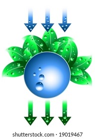 Water drops and green leaves vector illustration