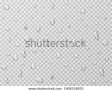 Water drops isolated. Rain drop splashes, droplets on glass transparent window. Raindrop vector texture