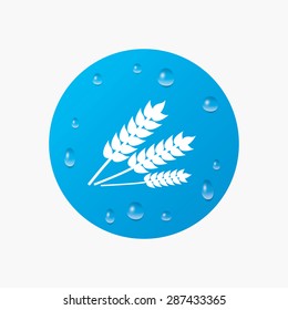 Water drops on button. Agricultural sign icon. Gluten free or No gluten symbol. Realistic pure raindrops. Blue circle. Vector