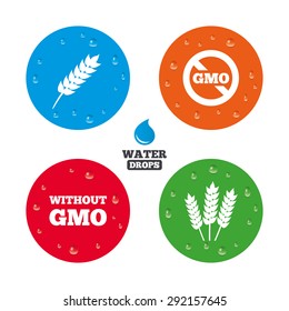 Water drops on button. Agricultural icons. Gluten free or No gluten signs. Without Genetically modified food symbols. Realistic pure raindrops on circles. Vector
