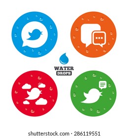 Water drops on button. Birds icons. Social media speech bubble. Short messages chat symbol. Realistic pure raindrops on circles. Vector
