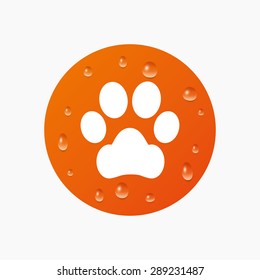 Water drops on button. Dog paw sign icon. Pets symbol. Realistic pure raindrops. Orange circle. Vector