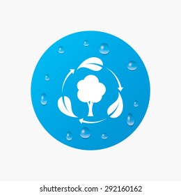 Water Drops On Button. Fresh Air Sign Icon. Forest Tree With Leaves Symbol. Realistic Pure Raindrops. Blue Circle. Vector