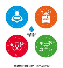 Water drops on button. Honey icon. Honeycomb cells with bees symbol. Sweet natural food signs. Realistic pure raindrops on circles. Vector