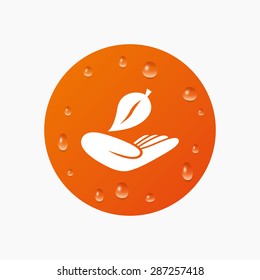 Water drops on button. Nature insurance sign icon. Hand holds leaf symbol. Environmental protection symbol. Realistic pure raindrops. Orange circle. Vector