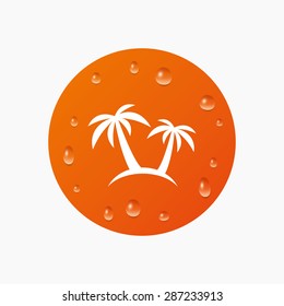 Water drops on button. Palm Tree sign icon. Travel trip symbol. Realistic pure raindrops. Orange circle. Vector