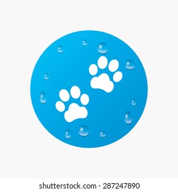 Water drops on button. Paw sign icon. Dog pets steps symbol. Realistic pure raindrops. Blue circle. Vector