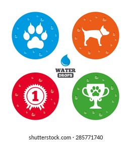 Water drops on button. Pets icons. Cat paw with clutches sign. Winner cup and medal symbol. Dog silhouette. Realistic pure raindrops on circles. Vector