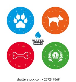 Water drops on button. Pets icons. Cat paw with clutches sign. Winner laurel wreath and medal symbol. Pets food. Realistic pure raindrops on circles. Vector