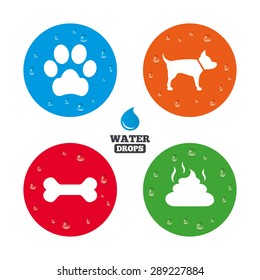 Water drops on button. Pets icons. Dog paw and feces signs. Clean up after pets. Pets food. Realistic pure raindrops on circles. Vector