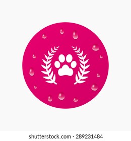 Water drops on button. Winner pets laurel wreath sign icon. Dog paw symbol. Realistic pure raindrops. Pink circle. Vector