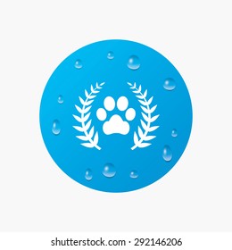 Water drops on button. Winner pets laurel wreath sign icon. Dog paw symbol. Realistic pure raindrops. Blue circle. Vector
